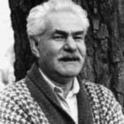 Владлен Берденников