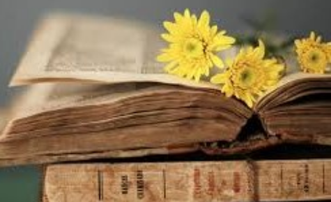 Айнұр Мәулітбекқызы 